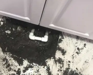 麒麟查漏水哪家好